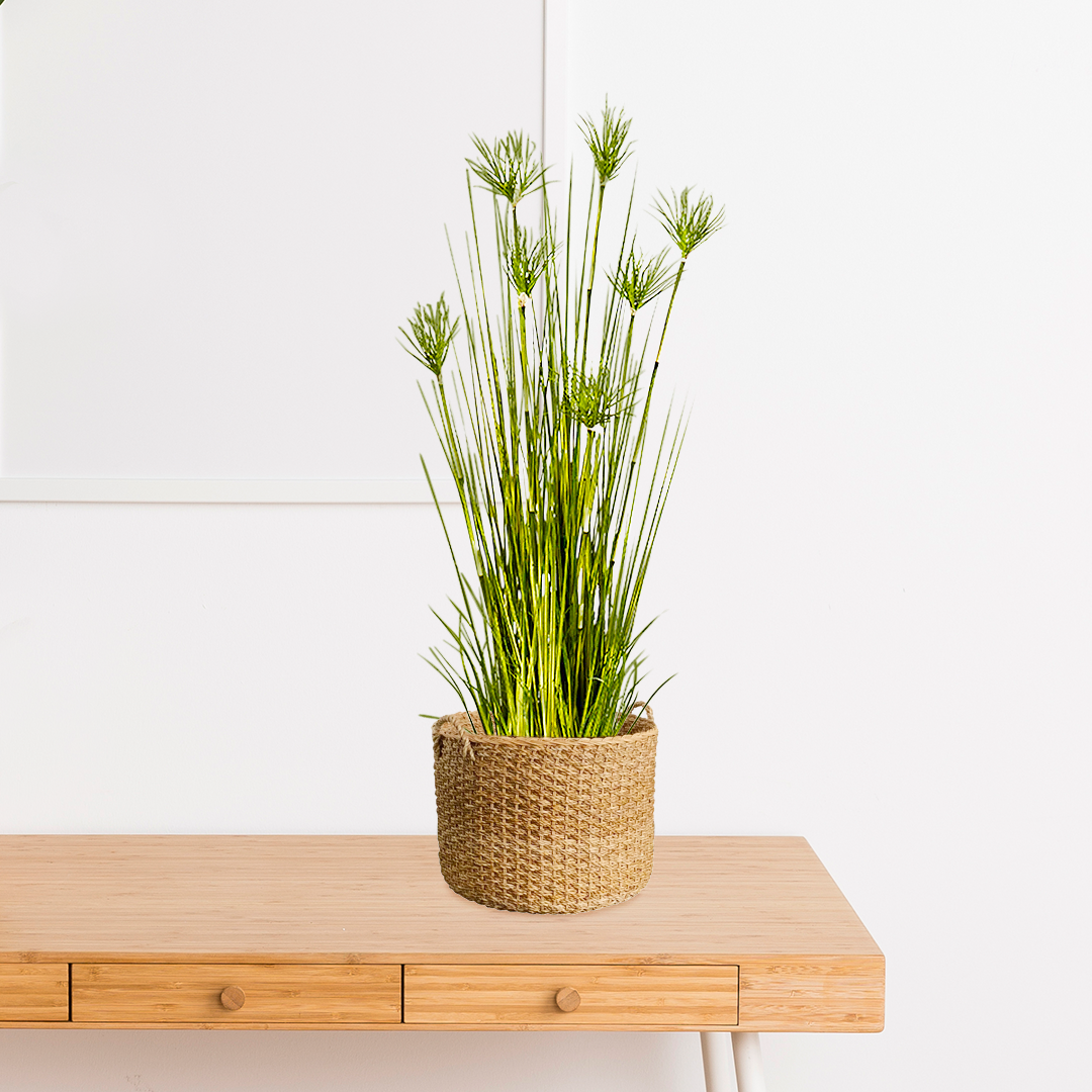 SOGA 150cm Cyperus Papyrus Plant Tree Artificial Green Grass, Home Or –  buyinaus