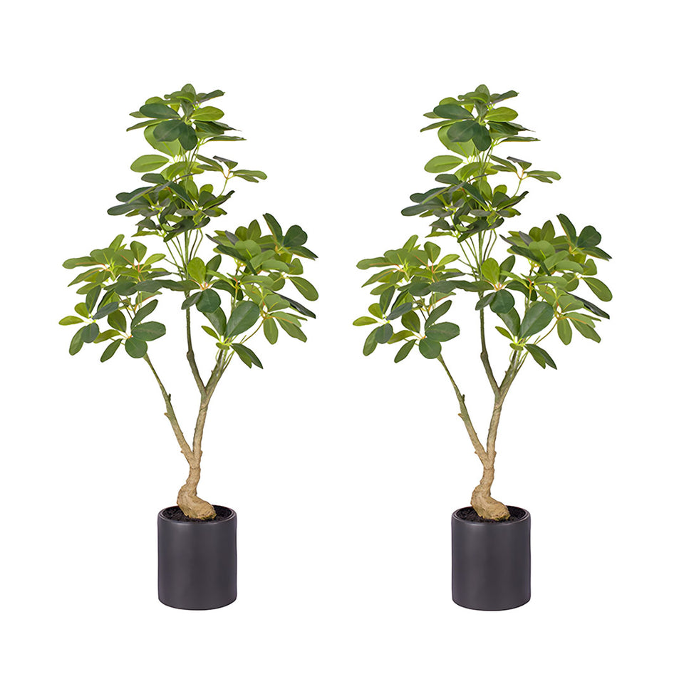 SOGA 2X 80cm Artificial Schefflera Tree – Realistic Indoor Greenery