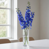 SOGA 30.5cm Handcrafted Clear Glass Vase Classic Design for Home Decor