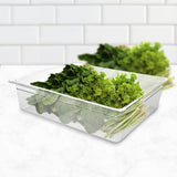 SOGA 4-Pack 150mm Clear Gastronorm GN Pan 1/1 Food Storage Containers