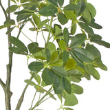 SOGA 2X 80cm Artificial Schefflera Tree – Realistic Indoor Greenery