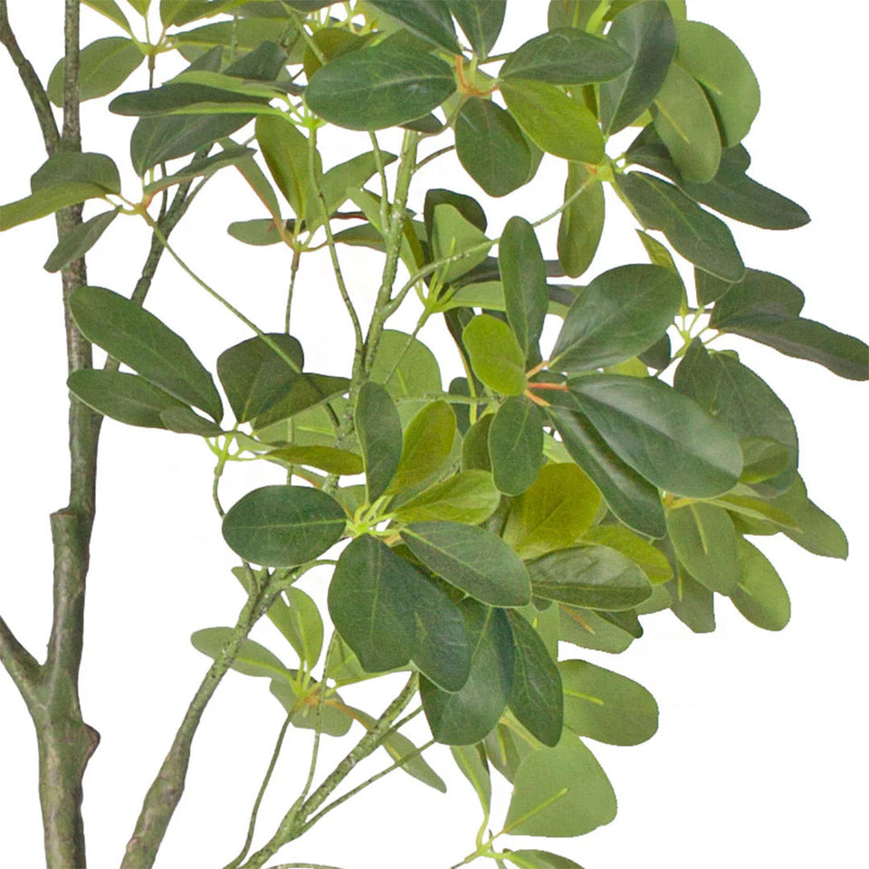 SOGA 4x 80cm Artificial Schefflera Tree – Realistic Indoor Greenery
