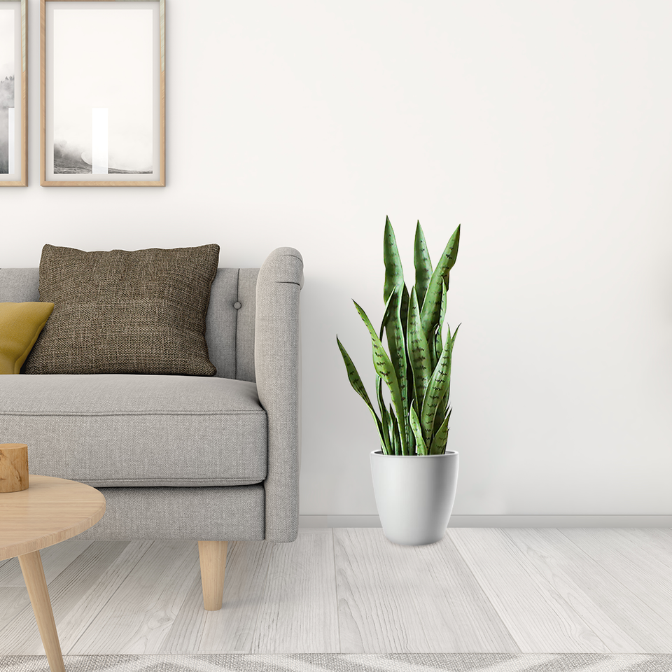 SOGA 97cm Sansevieria Snake Artificial Plants with Black Plastic Planter Greenery, Home Office Decor