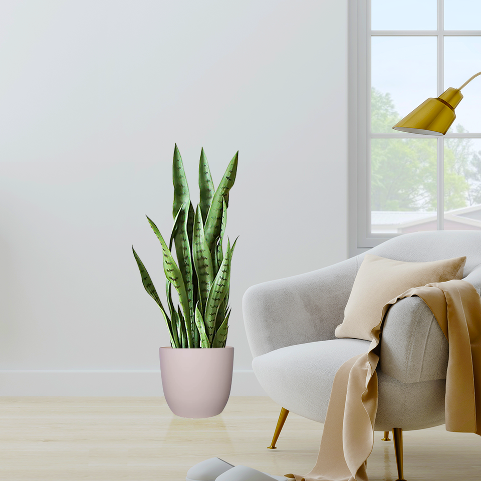 SOGA 97cm Sansevieria Snake Artificial Plants with Black Plastic Planter Greenery, Home Office Decor