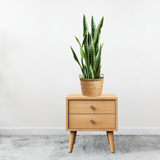 SOGA 97cm Sansevieria Snake Artificial Plants with Black Plastic Planter Greenery, Home Office Decor