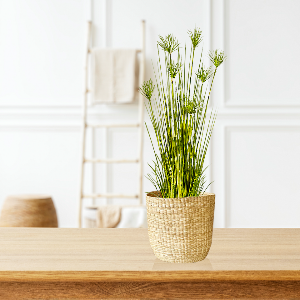 papyrus plant indoors SOGA 150cm Cyperus Papyrus Plant Tree Artificial Green Grass, Home Or – buyinaus