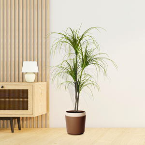 SOGA 150cm Artificial Dracaena Plant Fake Potted, Simulation Tree Fake Plant Home Decor