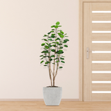 SOGA 2X 150cm Plastic Potted Polyscias Scutellaria Plant Home Garden Artificial Tree, Home Decor
