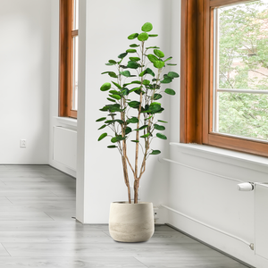 SOGA 4X 180cm Plastic Potted Polyscias Scutellaria Plant Home Garden Artificial Tree, Home Decor