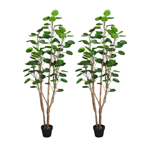 SOGA 2X 150cm Plastic Potted Polyscias Scutellaria Plant Home Garden Artificial Tree, Home Decor