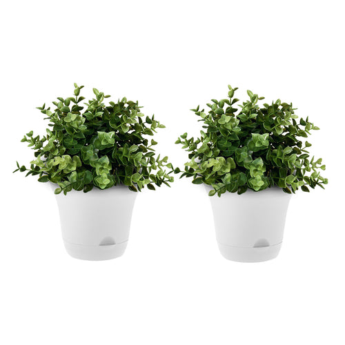 SOGA 19.5cm White Plastic Plant Pot Self Watering Planter Flower Bonsai Indoor Outdoor Garden Decor Set of 2