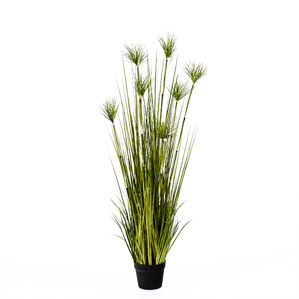 papyrus plant indoor SOGA 150cm Cyperus Papyrus Plant Tree Artificial Green Grass, Home Or – buyinaus