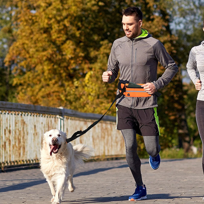 SOGA 2X Orange Adjustable Hands-Free Pet Leash Bag Dog Lead Walking Running Jogging Pet Essentials