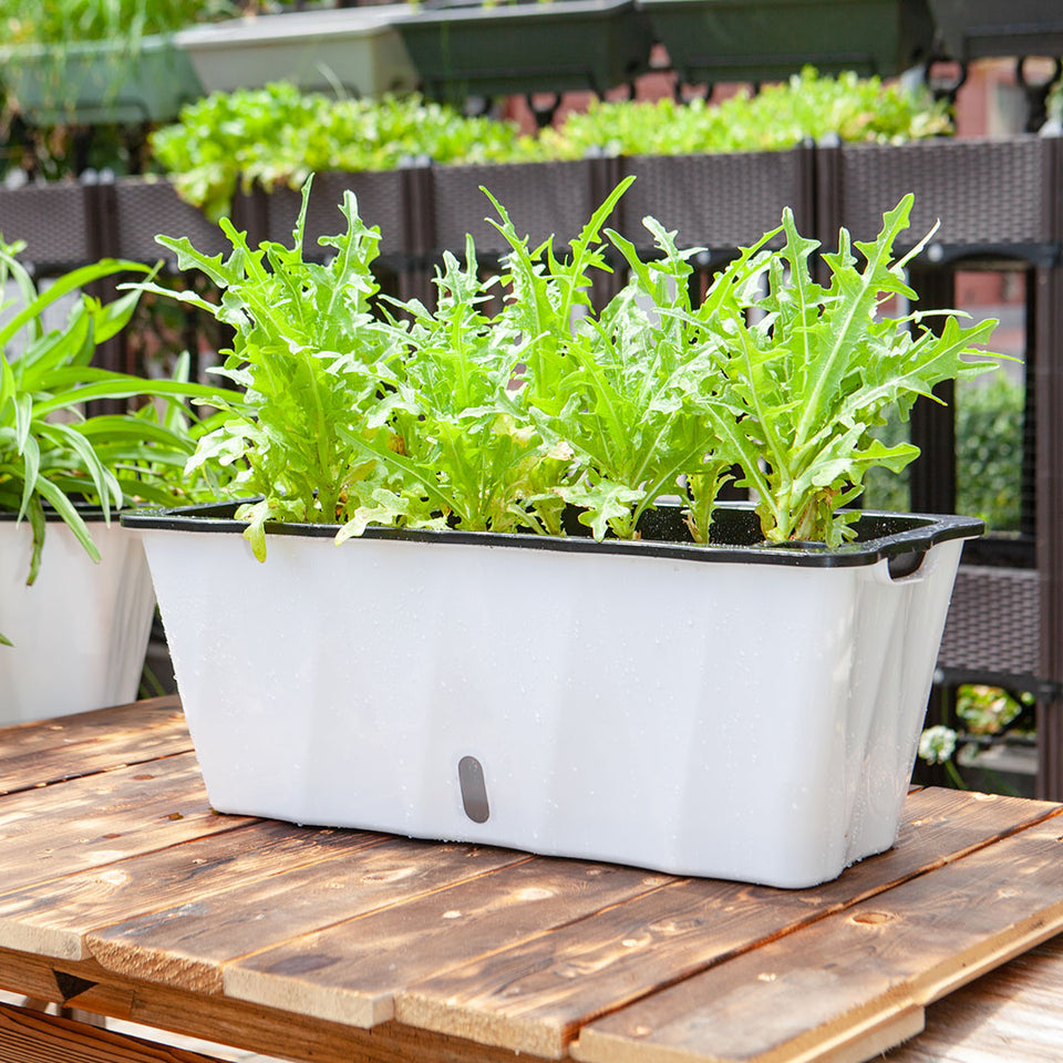 SOGA 2-Pack Large White Rectangular Plastic Flowerpot for Outdoor Garden
