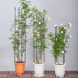 SOGA 2X 73cm 4-Bar Plant Frame Stand Trellis Vegetable Flower Herbs Outdoor Vine Support Garden Rack with Rings