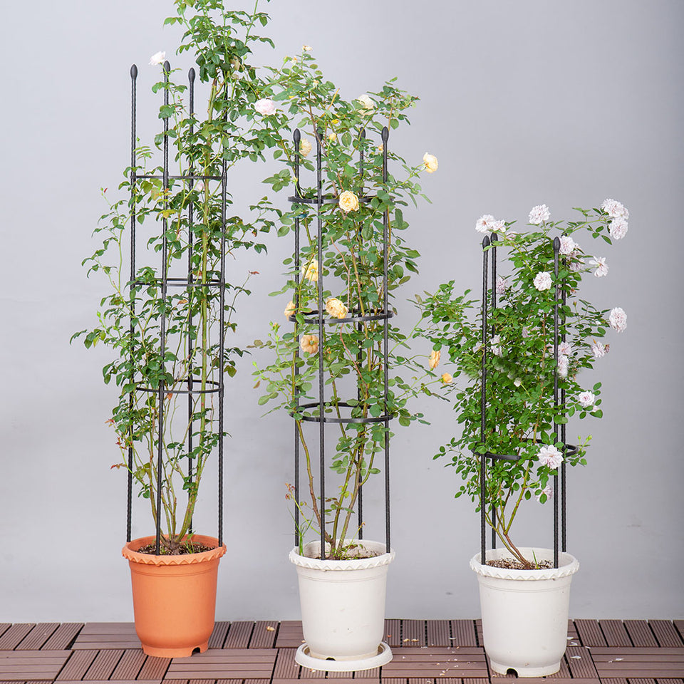 SOGA 73cm 4-Bar Plant Frame Stand Trellis Vegetable Flower Herbs Outdoor Vine Support Garden Rack with Rings