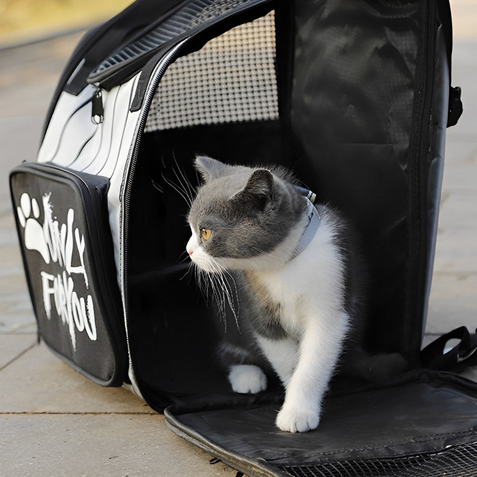 SOGA Black Pet Carrier Backpack Breathable Mesh Portable Safety Travel Essentials Outdoor Bag