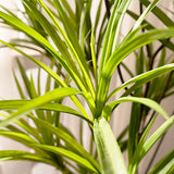 SOGA 4X 120cm Artificial Natural Green Dracaena Dragon Tree Fake Tropical Indoor Plant Home Office Decor