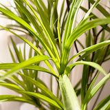 SOGA 2X 90cm Artificial Natural Green Dracaena Dragon Tree Fake Tropical Indoor Plant Home Office Decor