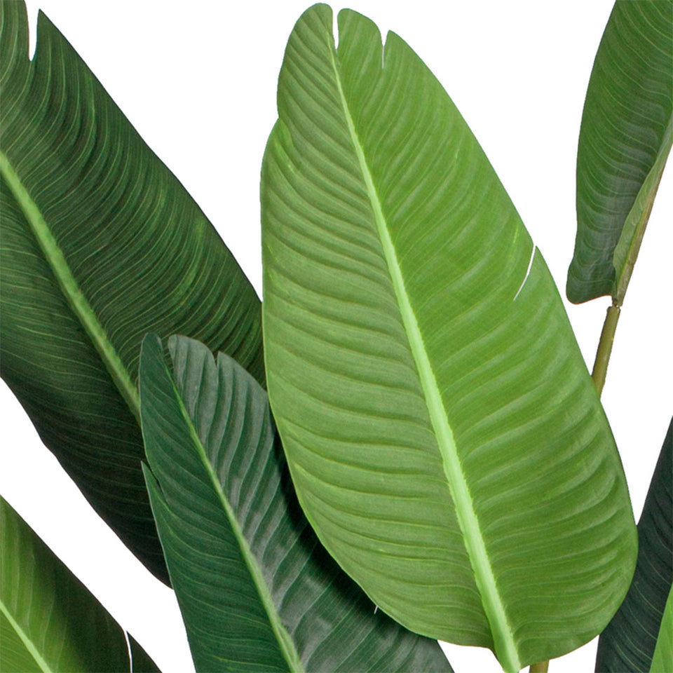 SOGA 245cm Artificial Giant Green Birds of Paradise Tree Fake Tropical Indoor Plant Home Office Decor