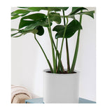 SOGA 70cm Tripod Flower Pot Plant Stand with White Flowerpot Holder Rack Indoor Display