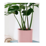 SOGA 2X 70cm Tripod Flower Pot Plant Stand with Pink Flowerpot Holder Rack Indoor Display