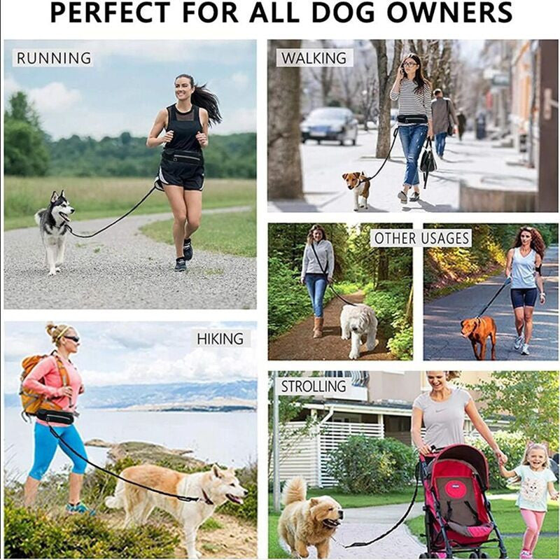 SOGA 2X Yellow Adjustable Hands-Free Pet Leash Bag Dog Lead Walking Running Jogging Pet Essentials