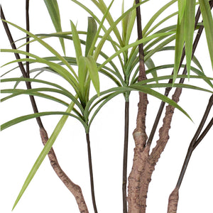 SOGA 2X 90cm Artificial Natural Green Dracaena Dragon Tree Fake Tropical Indoor Plant Home Office Decor