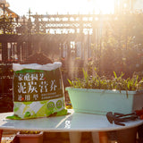 SOGA 49.5cm Green Rectangular Planter Vegetable Herb Flower Outdoor Plastic Box with Holder Balcony Garden Decor Set of 5