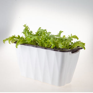 SOGA 35cm Small White Rectangular Flowerpot Vegetable Herb Flower Outdoor Plastic Box Garden Decor