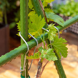 SOGA 160cm Rectangular Inclined Plant Frame Tube Pergola Trellis Vegetable Flower Herbs Outdoor Vine Support Garden Rack