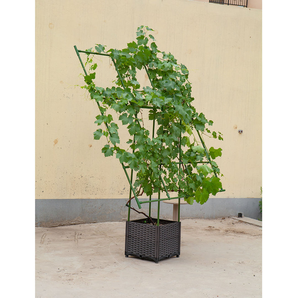 house plant support frame SOGA 160cm Rectangular Inclined Plant Frame Tube Pergola Trellis Veget – buyinaus